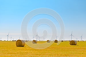 Straw Bales on the Bright Yellow Field under Blue Sky. Wind Generator Turbines on the Background