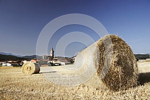 Straw bales on corn fields after harvest