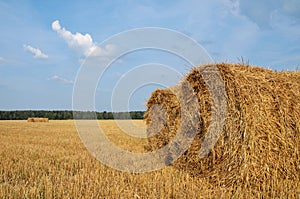 Straw bales in the countryside.