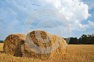 Straw bales in the countryside.