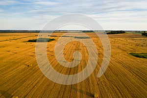 Straw bales on farmland with a blue cloudy sky.Harvested field with bales in Europe.Harvest.Belarus