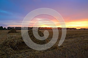 Straw bales on farmland field with pink sunset sky