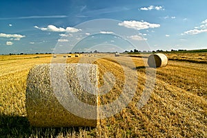 Straw bales on the field