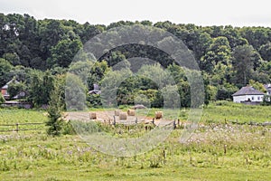 Straw bales in the field