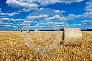 Straw bales in a field with blue and white sky