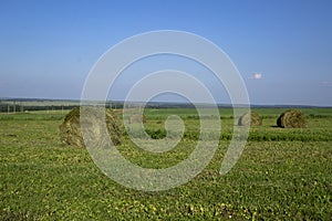 Straw bales on a field in the foreground.  Harvest of hay. Clouds in the sky. Agricultural farm. Hills with cultivated fields and