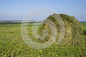Straw bales on a field in the foreground.  Harvest of hay. Clouds in the sky. Agricultural farm. Hills with cultivated fields and