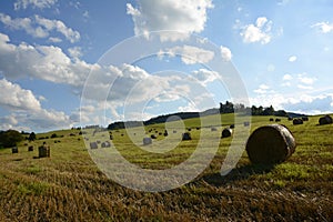 Straw Bales on the Field after Harvest, Czech Republic, Europe