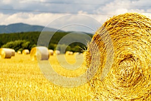 Straw bales on the field. After harvesting the grain in the summer