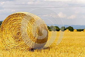 Straw bales on the field. After harvesting the grain in the summer