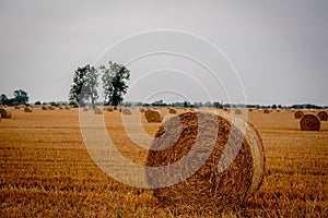 Straw bales in a field under a threatening sky.