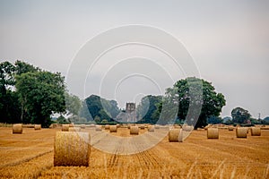 Straw bales in a field under a threatening sky.