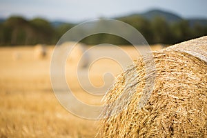 Straw bales field