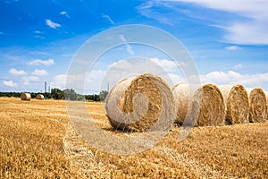 Straw bales field