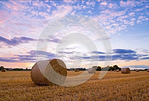 Straw bales after harvest at sunset time