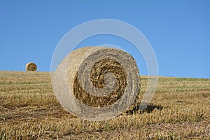 A straw bales and a hay ball in the horizon on harvested field