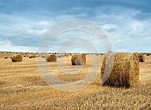 Straw bales of hay in the stubble field, agricultural field under a sky with clouds