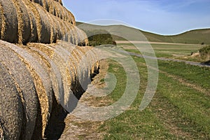 Straw bales hayrick