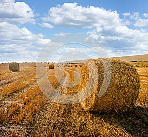 straw bales lie on a sloping field