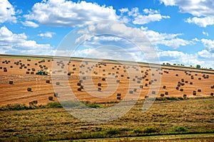 straw bales lie on a sloping field under sky with clouds Summer landscape, top view