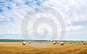 straw in bales roll and stubble and beautiful sky