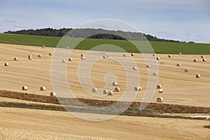 Straw bales in rolling hills of northern france under blue sky