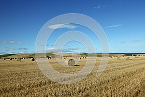 Straw bales in Scotland