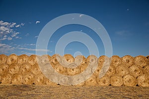 Straw Bales