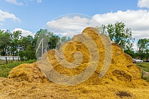Straw bales on a sloping