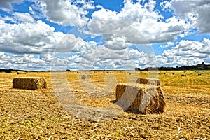 Straw bales stacked in a field of grain harvested