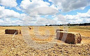 Straw bales stacked in a field of grain harvested