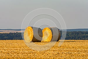 Straw bales stacked in a field at sunset time