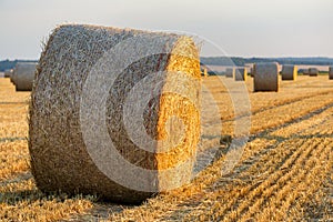 Straw bales stacked in a field at sunset time