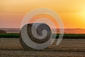 Straw bales stacked in a field at sunset time