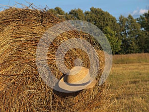 Straw bales with straw hat