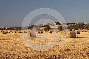 Straw bales on a stubble field