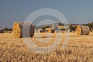 Straw bales on a stubble field