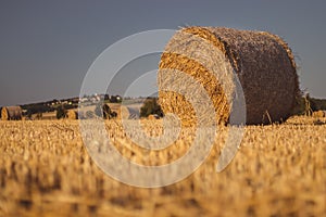 Straw bales on a stubble field