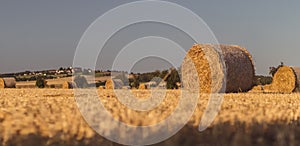 Straw bales on a stubble field