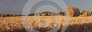 Straw bales on a stubble field