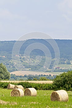 Straw bales at summer with hill vertical