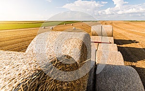 Straw bales on tractor trailer