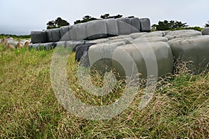 Straw bales under plastic in a field in Brittany