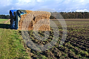 Straw bales under a tarpaulin.