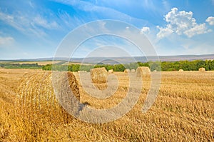 Straw bales on wheat field and blue sky.