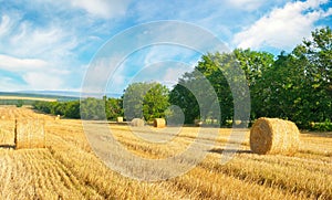 Straw bales on a wheat field and blue sky