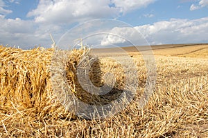 Straw bales on a wheat field. Harvesting forage for the winter