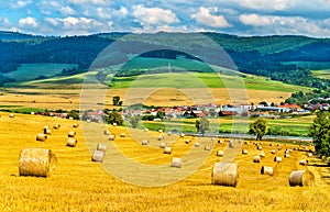 Balíky slamy na pšeničnom poli na Slovensku