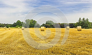 Straw balles on field in Spain. photo