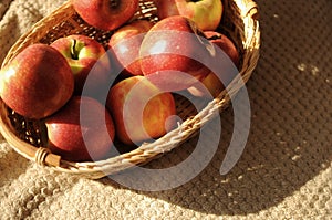 Straw basket with a lot of red ripe apples on bedcover background. Home harvest